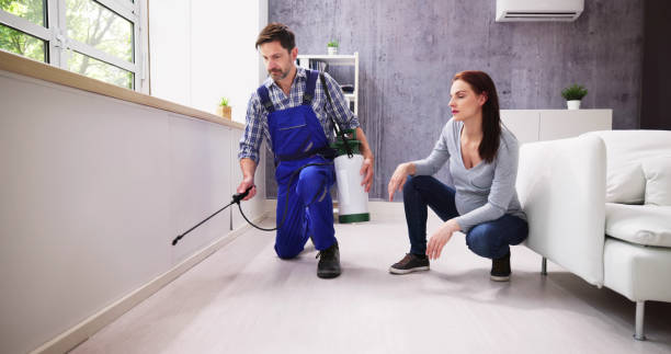 Reliable Glenview, IL Pest control Solutions